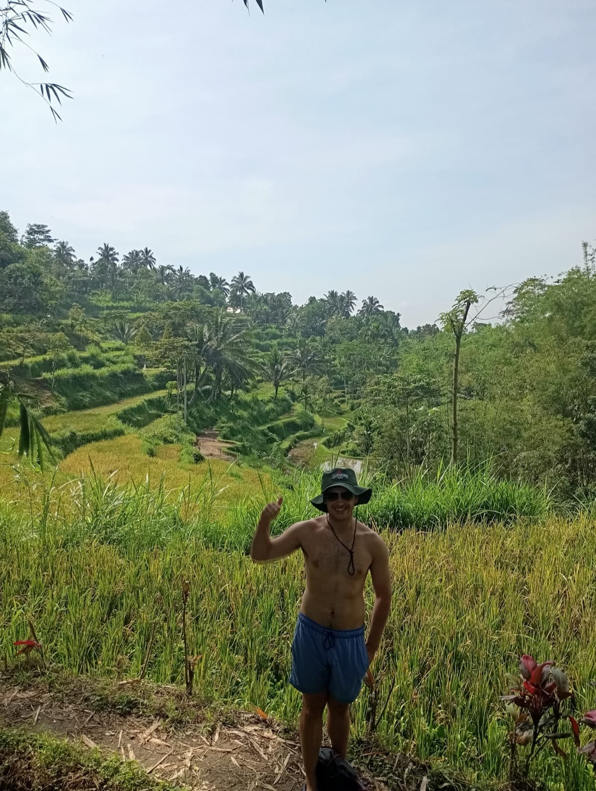 Rice terrace walks