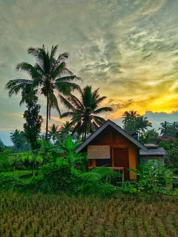 A private garden bungalow at Citra Homestay overlooking the rice fields